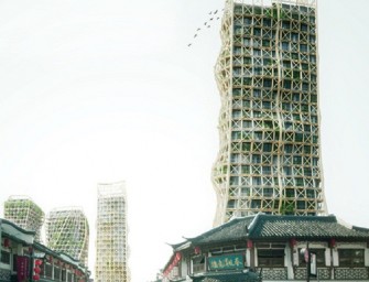 Bamboo Forest par Thibaut Deprez