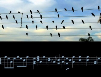 La mélodie des oiseaux de Jarbas Agnelli