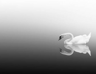 Last Trip par Vassilis Tangoulis