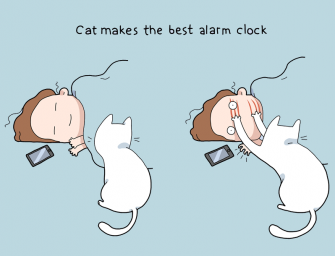 Guide illustré des avantages d&rsquo;avoir un chat !