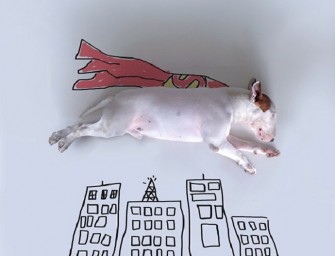 Rafael Mantesso et son chien …