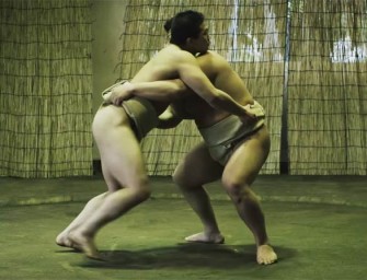 48 techniques de Sumo