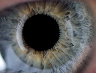 Moi, Internet : Le monde de l&rsquo;intelligence artificielle