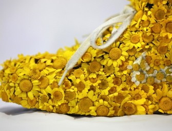 L&rsquo;artiste français Monsieur Plant combine Sneakers, fleurs et plus encore