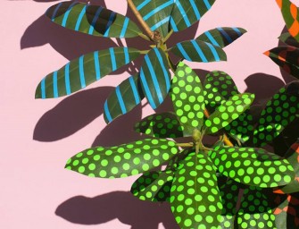 Surprenantes créations de cet artiste qui semble travestir la nature avec des stickers et des adhésifs