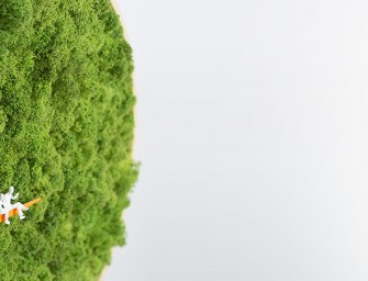 The Moss Clock : Une horloge faite de bouleau et de mousse